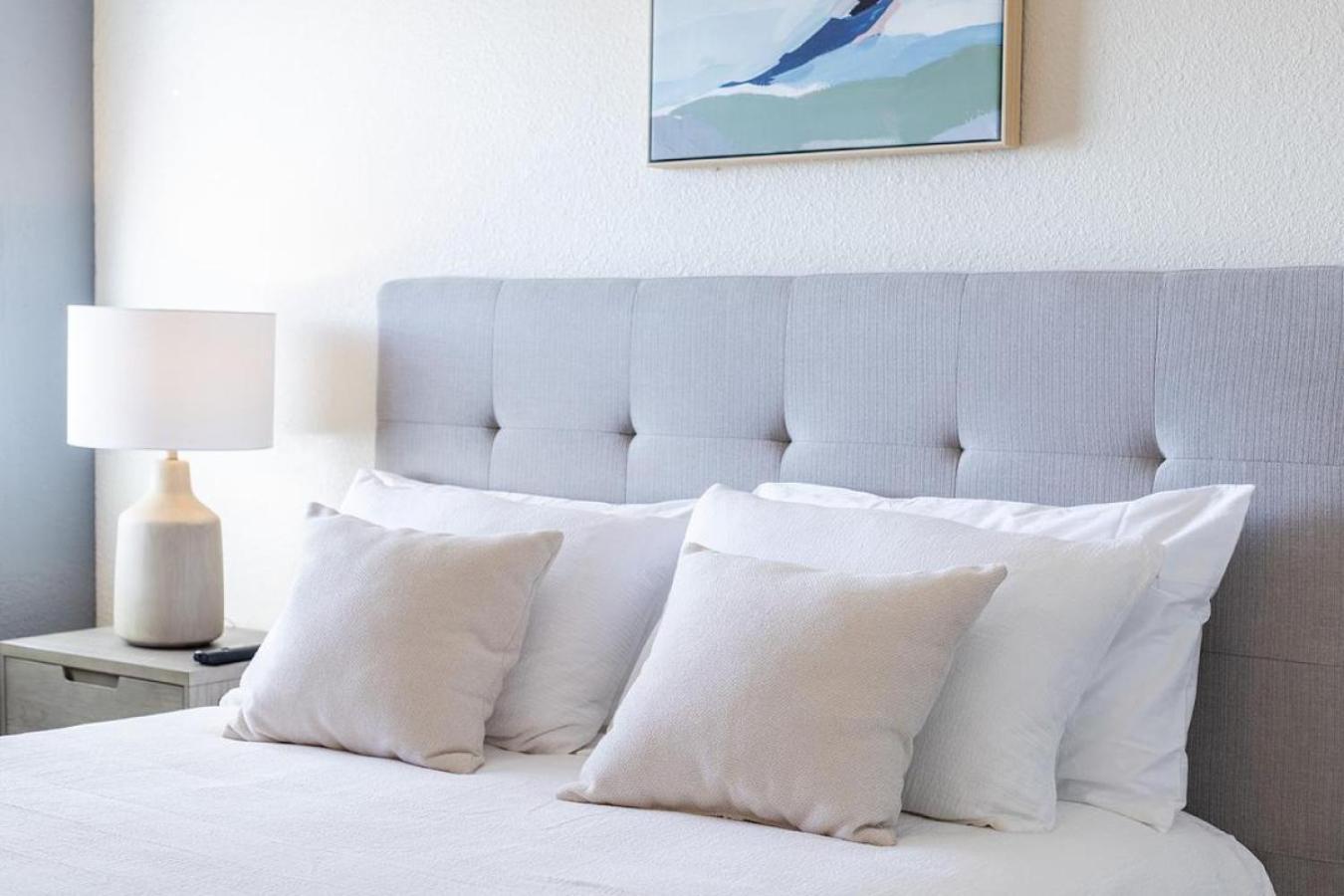 Apartment Landing Modern With Amazing Amenities